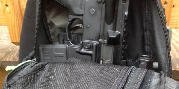 Factoids about the 2015 Flex Your Guns Photo Contest Factoids about the 2015 Flex Your Guns Photo Contest